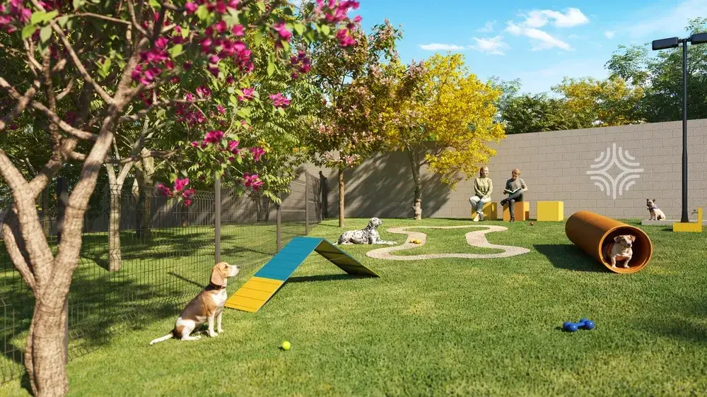 Pet square do VEGA Neoville